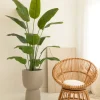 PrettyPlants Kunst Bananenplant Mowgli 180cm