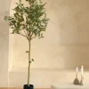 PrettyPlants Kunstboom Eucalyptus 180cm