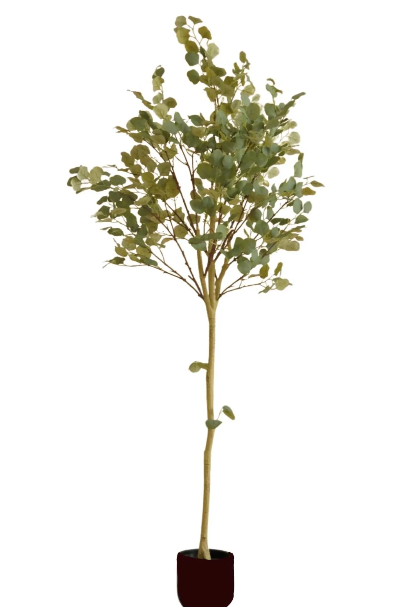 PrettyPlants Kunstboom Eucalyptus 180cm
