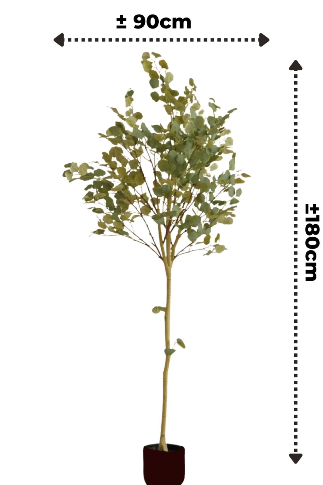 PrettyPlants Kunstboom Eucalyptus 180cm