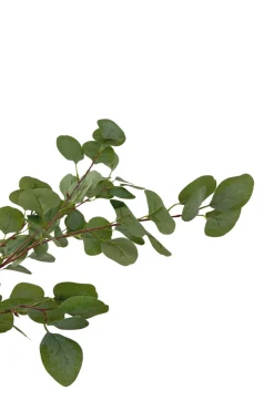 PrettyPlants Kunstboom Eucalyptus 180cm