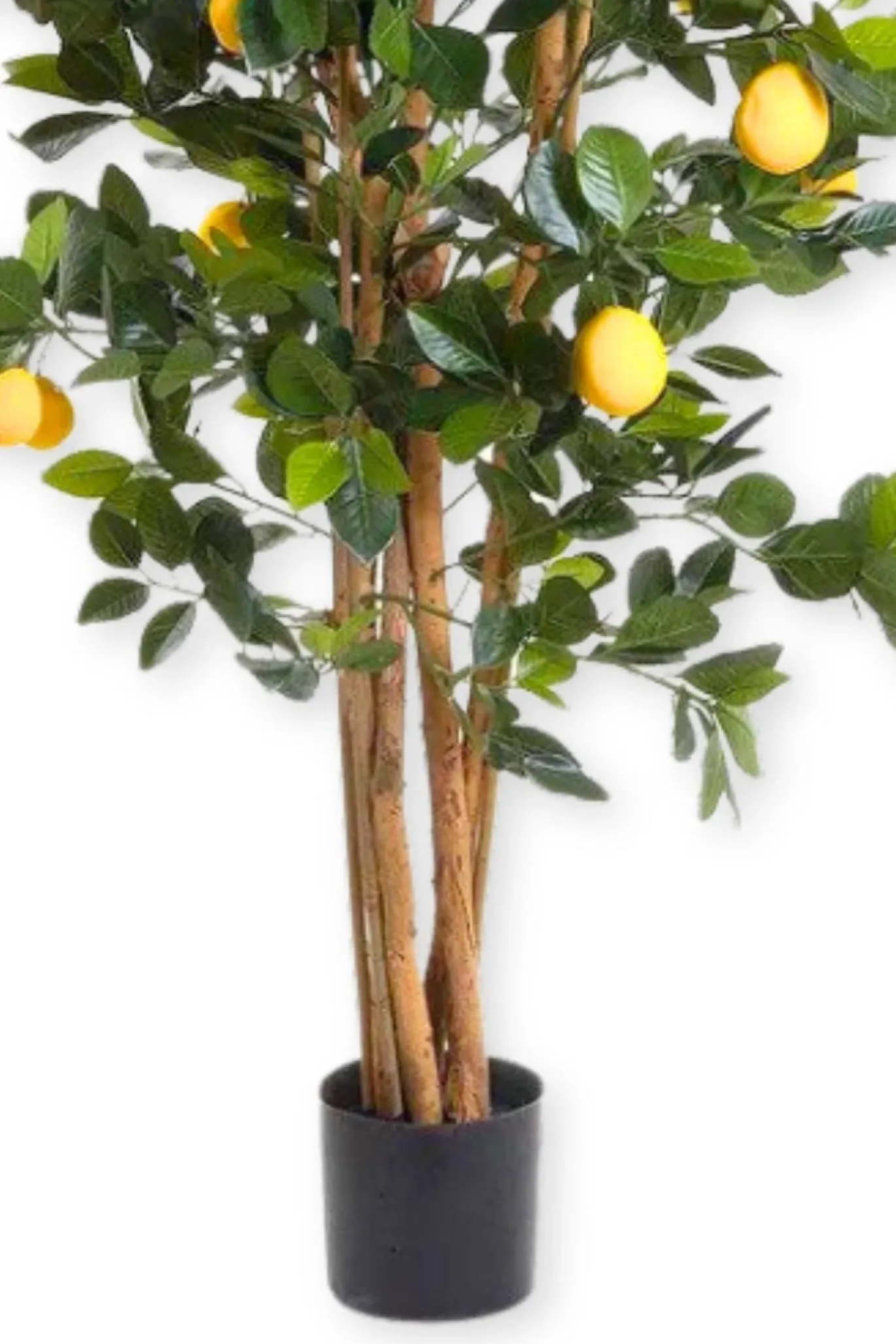 PrettyPlants Kunst Citroenboom 120cm