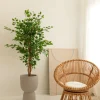 PrettyPlants Kunst Ficus 150cm