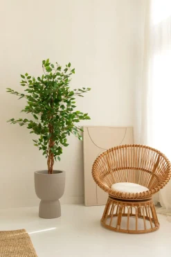 PrettyPlants Kunst Ficus 150cm