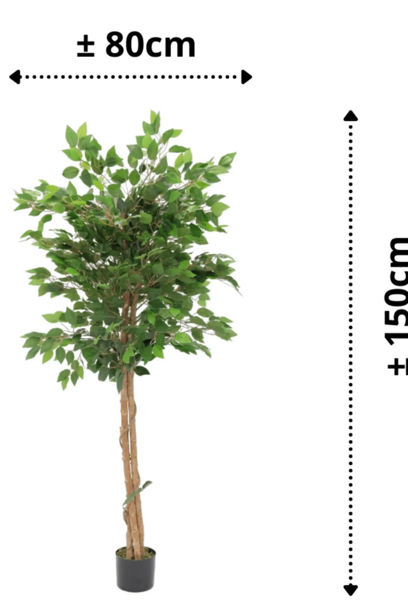 PrettyPlants Kunst Ficus 150cm