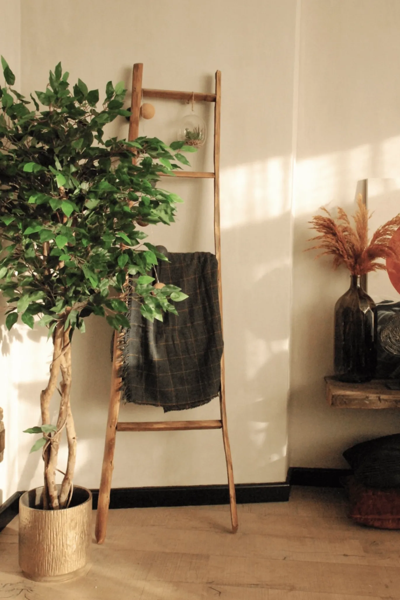 PrettyPlants Kunst Ficus 150cm