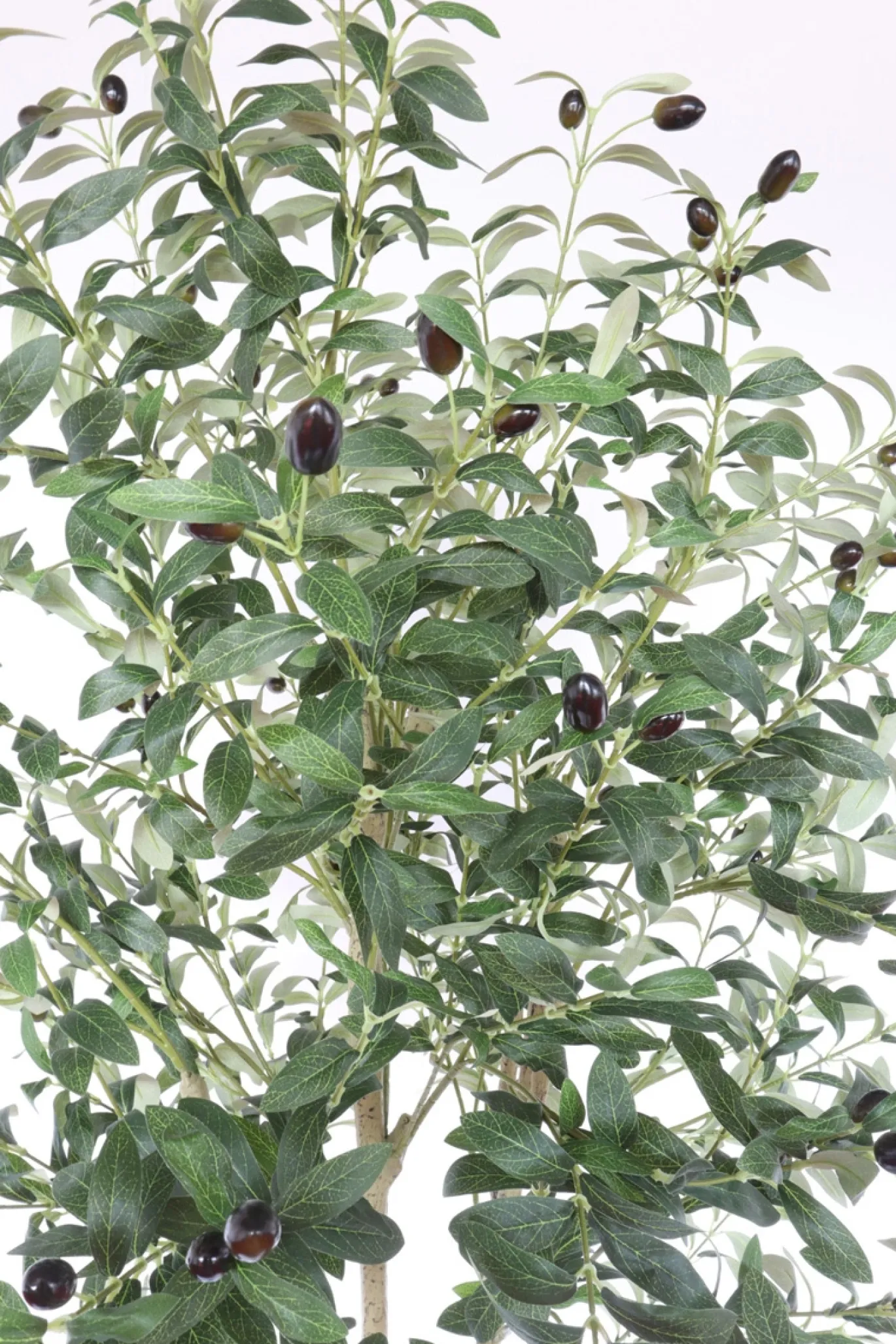 PrettyPlants Kunst Olijfboom Ernie 180cm