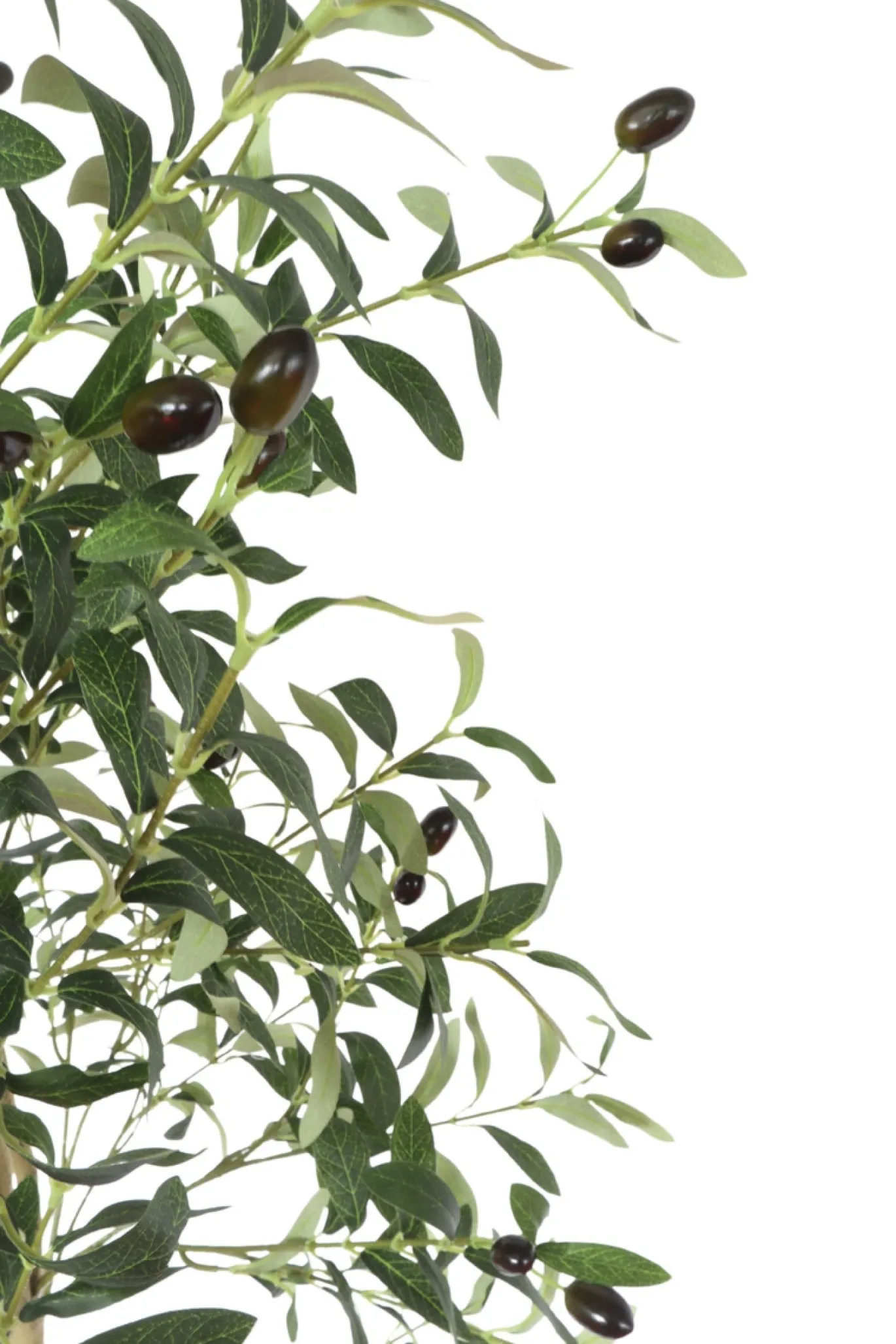 PrettyPlants Kunst Olijfboom Ernie 180cm