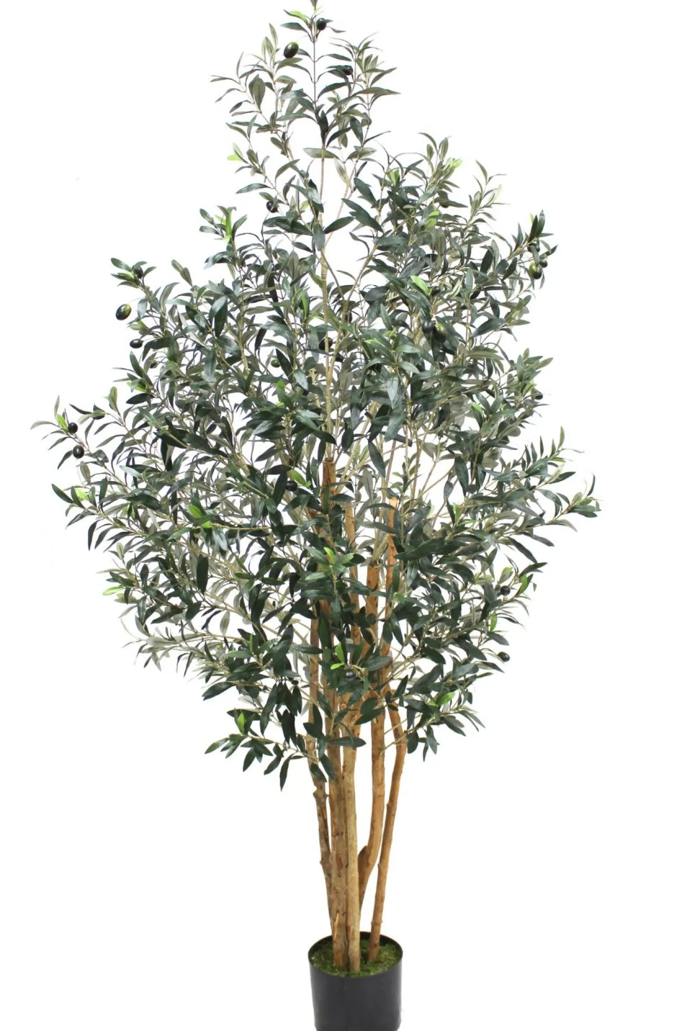 PrettyPlants Kunst Olijfboom Elmo 180cm