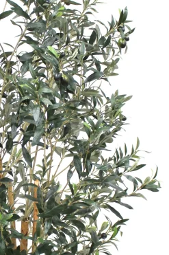 PrettyPlants Kunst Olijfboom Elmo 180cm