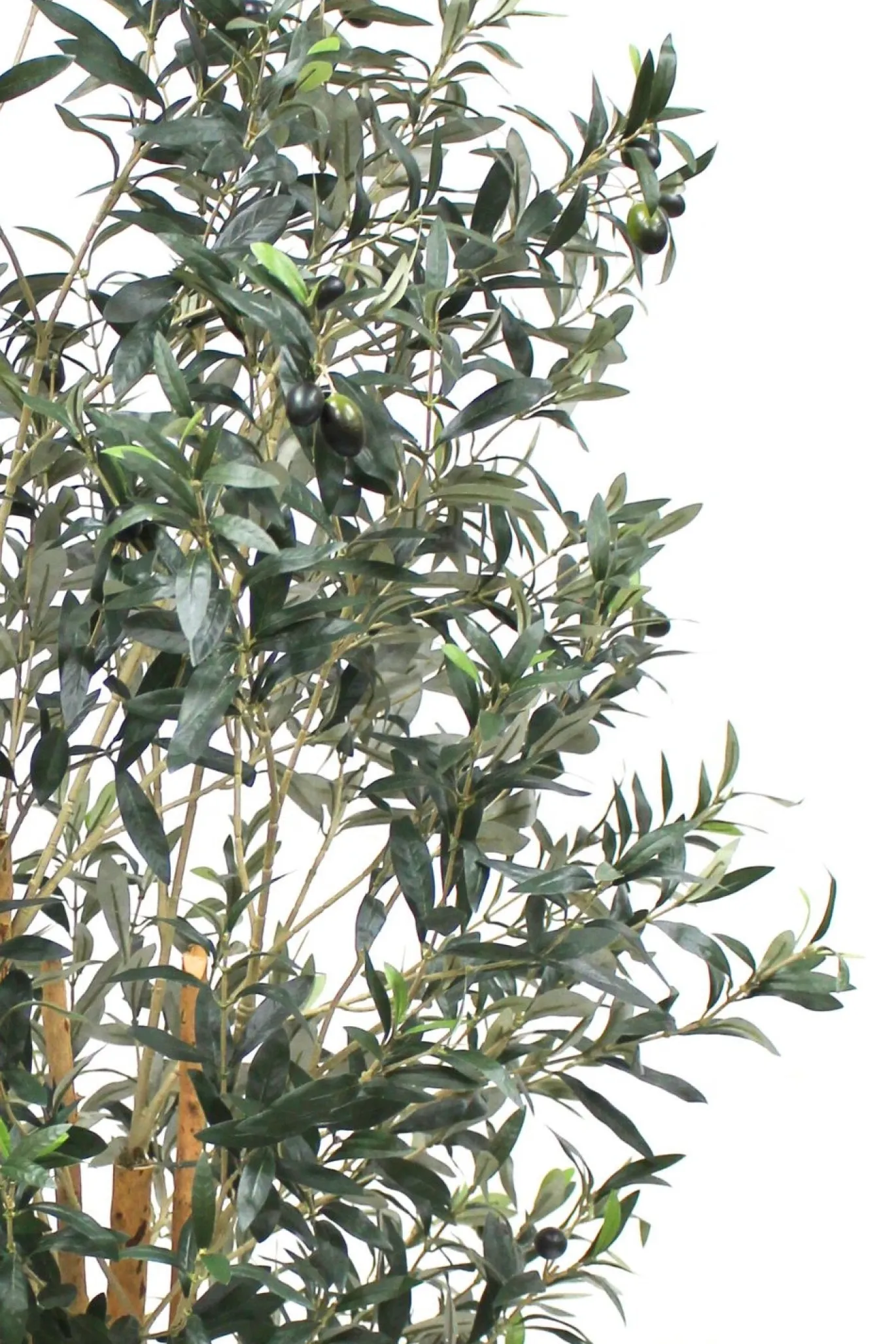 PrettyPlants Kunst Olijfboom Elmo 180cm