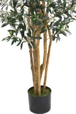 PrettyPlants Kunst Olijfboom Elmo 180cm