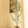 PrettyPlants Kunst Olijfboom Grover 180cm
