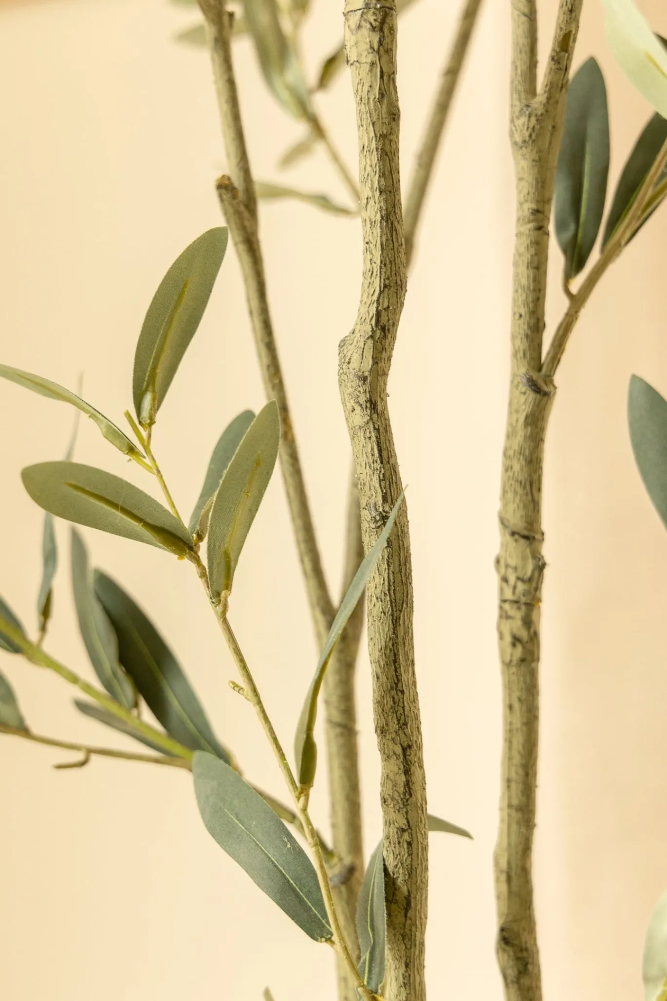 PrettyPlants Kunst Olijfboom Grover 180cm