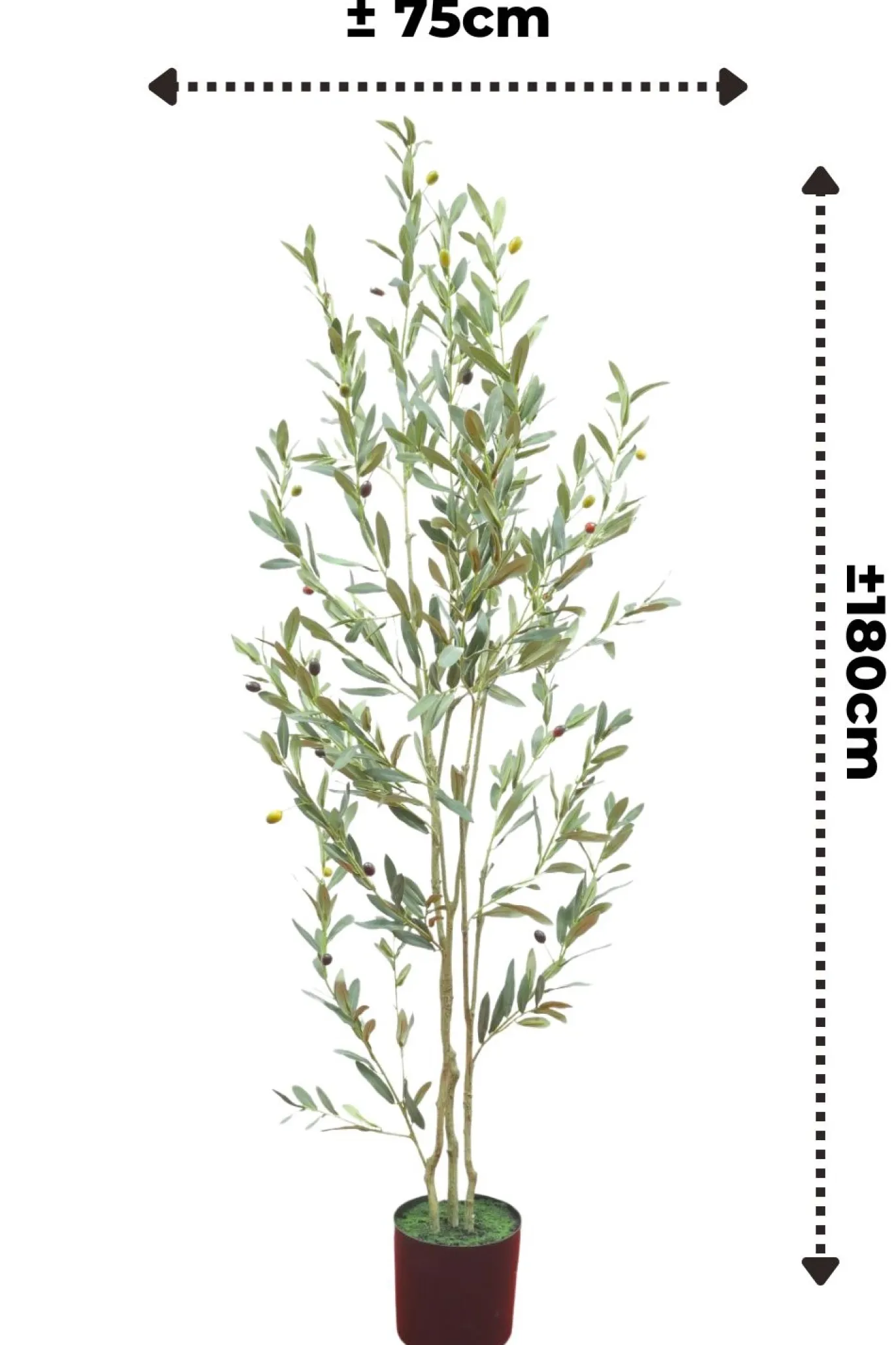PrettyPlants Kunst Olijfboom Grover 180cm