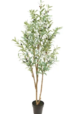 PrettyPlants Kunst Olijfboom Tommie 180cm