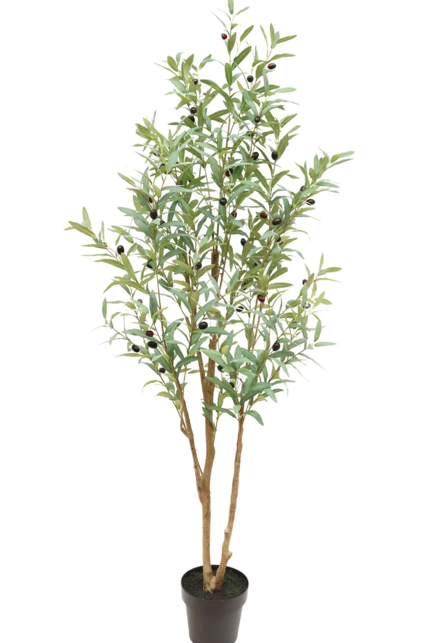 PrettyPlants Kunst Olijfboom Tommie 180cm