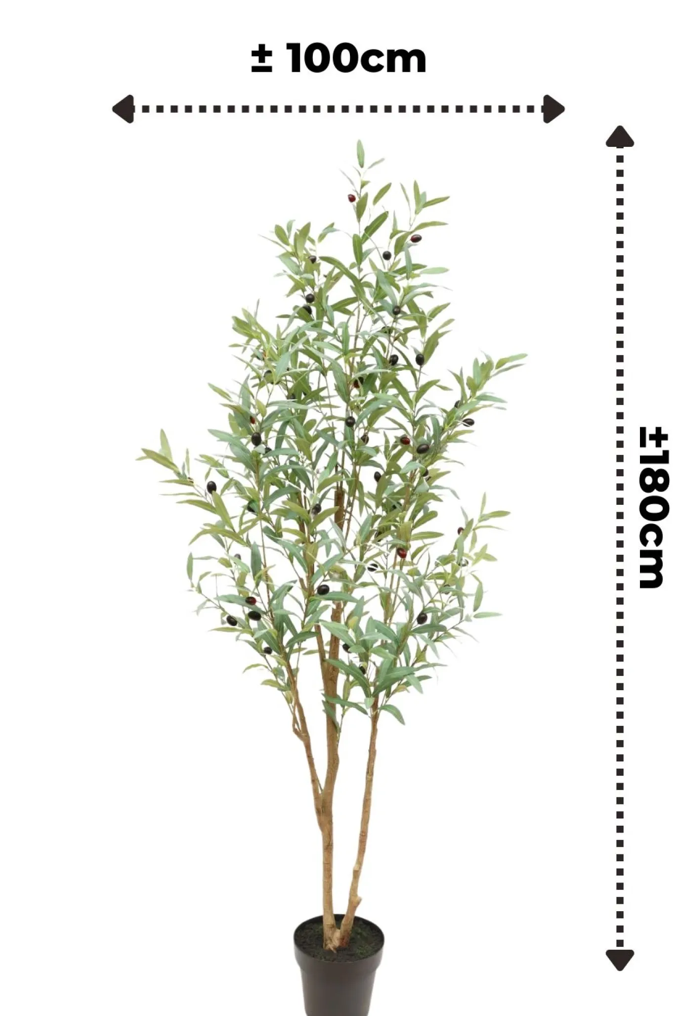 PrettyPlants Kunst Olijfboom Tommie 180cm