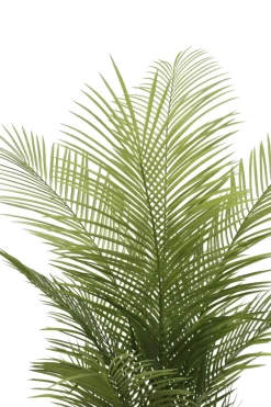 PrettyPlants Kunstpalm Jerom 150cm