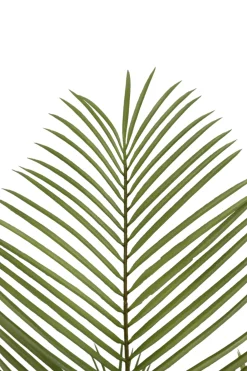 PrettyPlants Kunstpalm Jerom 150cm