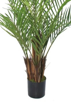 PrettyPlants Kunstpalm Lambik 180cm