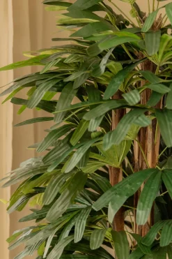PrettyPlants Kunstpalm Raphis 180cm