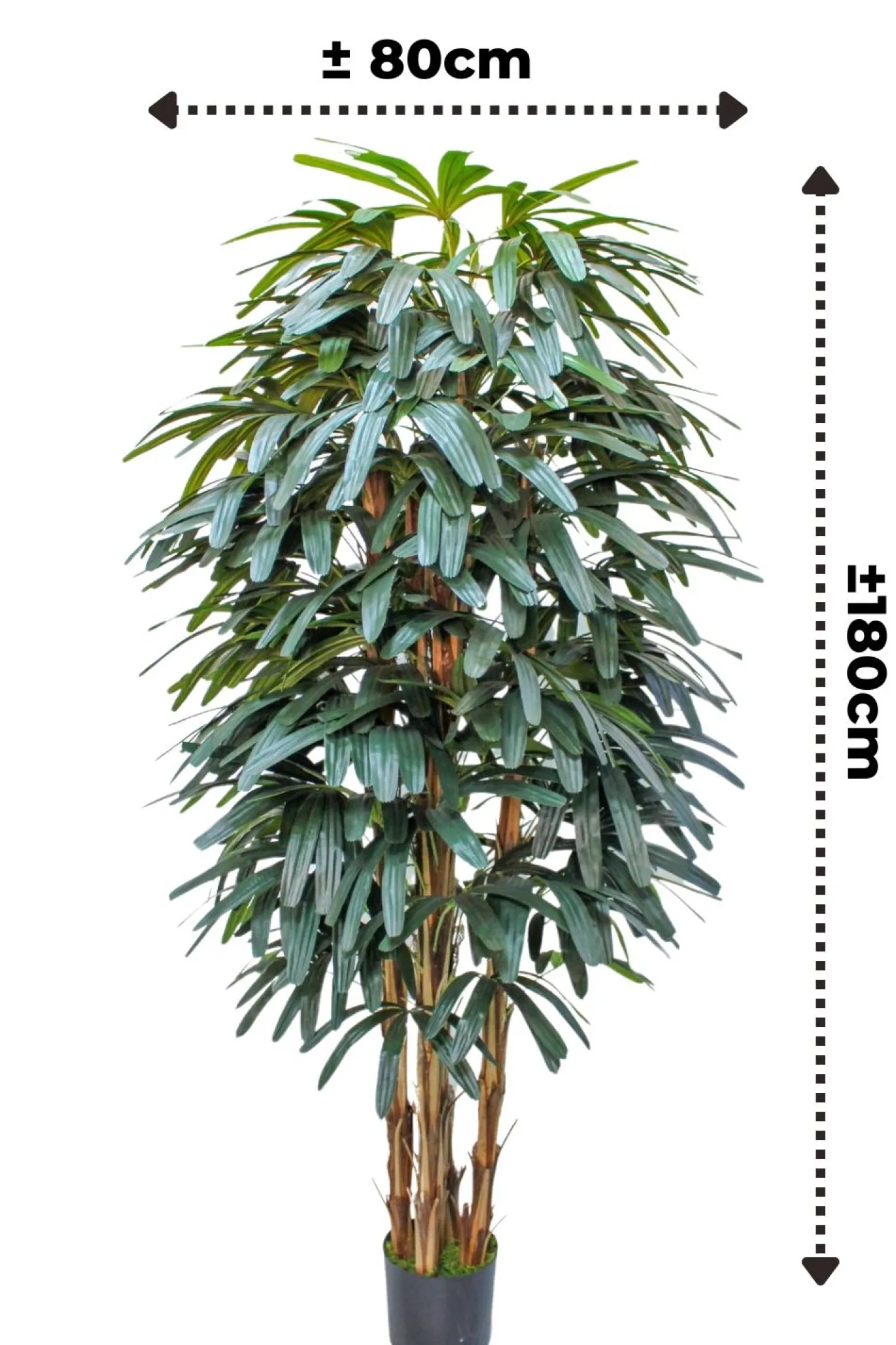PrettyPlants Kunstpalm Raphis 180cm