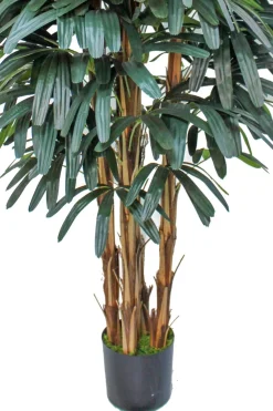 PrettyPlants Kunstpalm Raphis 180cm