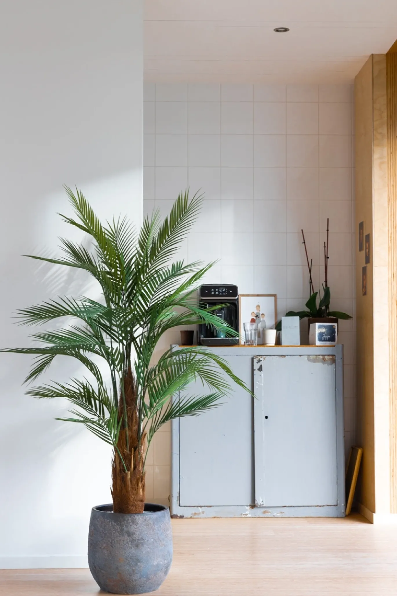 PrettyPlants Kunstpalm Suske 150cm