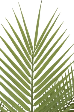 PrettyPlants Kunstpalm Suske 150cm
