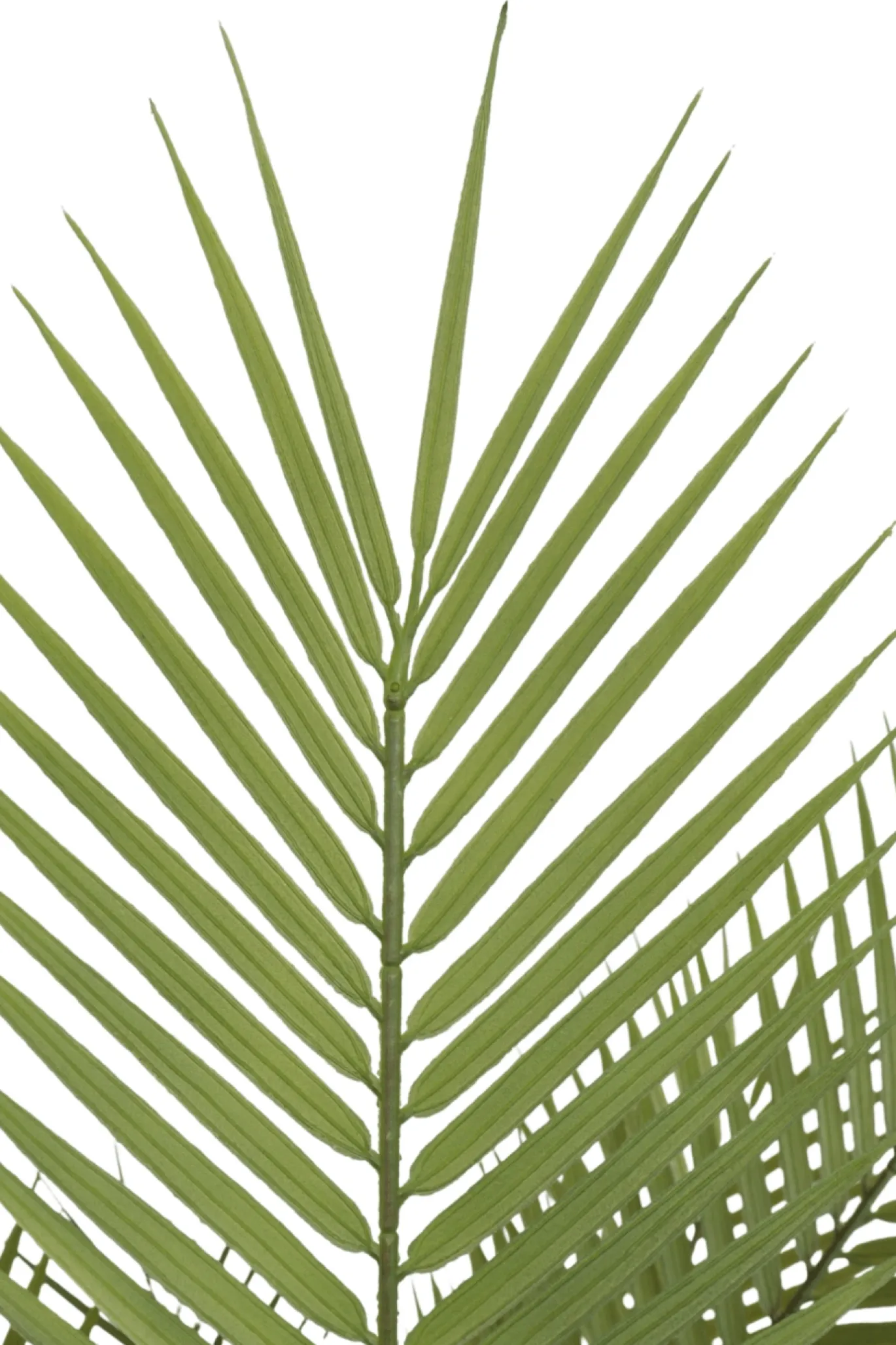 PrettyPlants Kunstpalm Suske 150cm