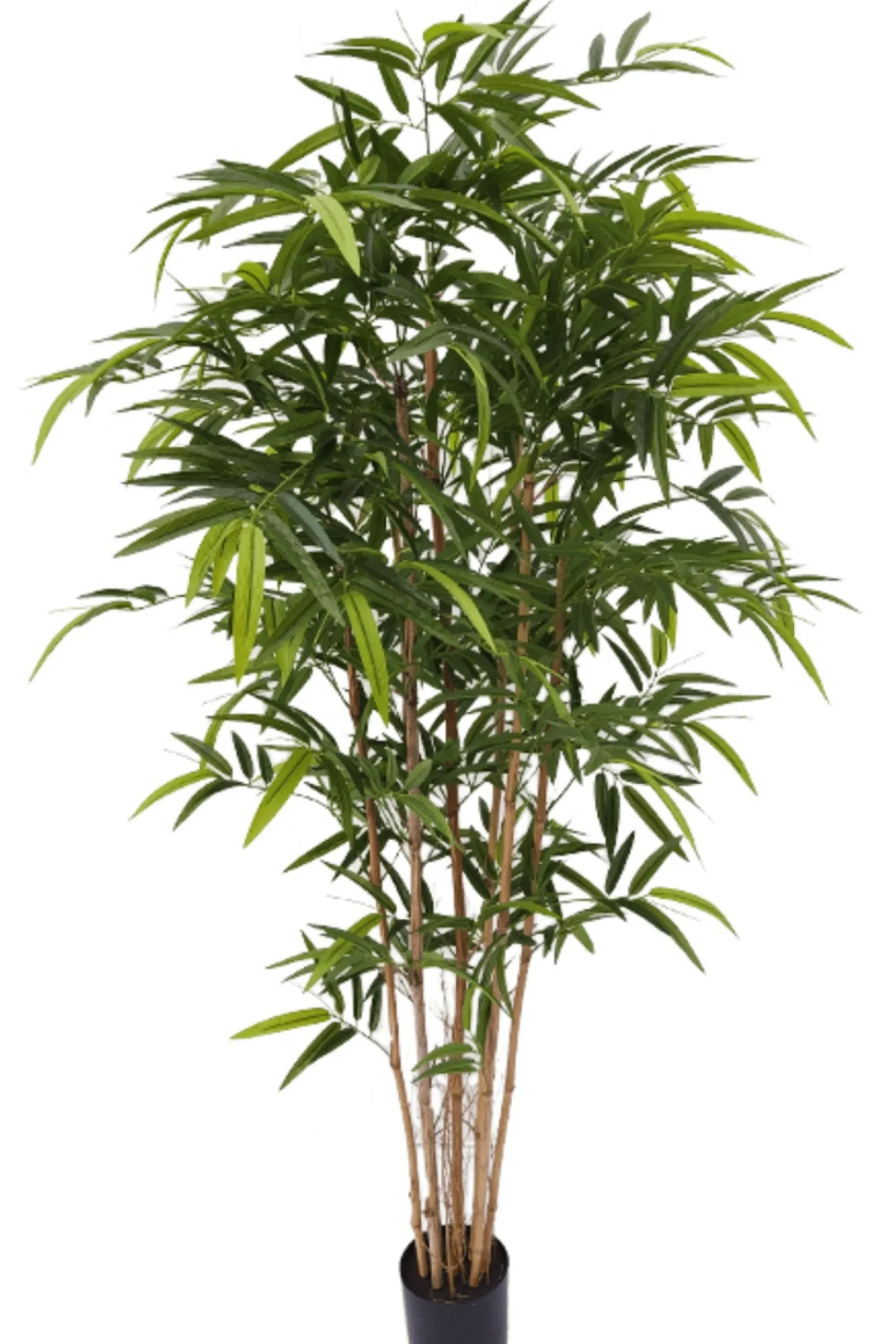 PrettyPlants Kunstplant Bamboe 180cm