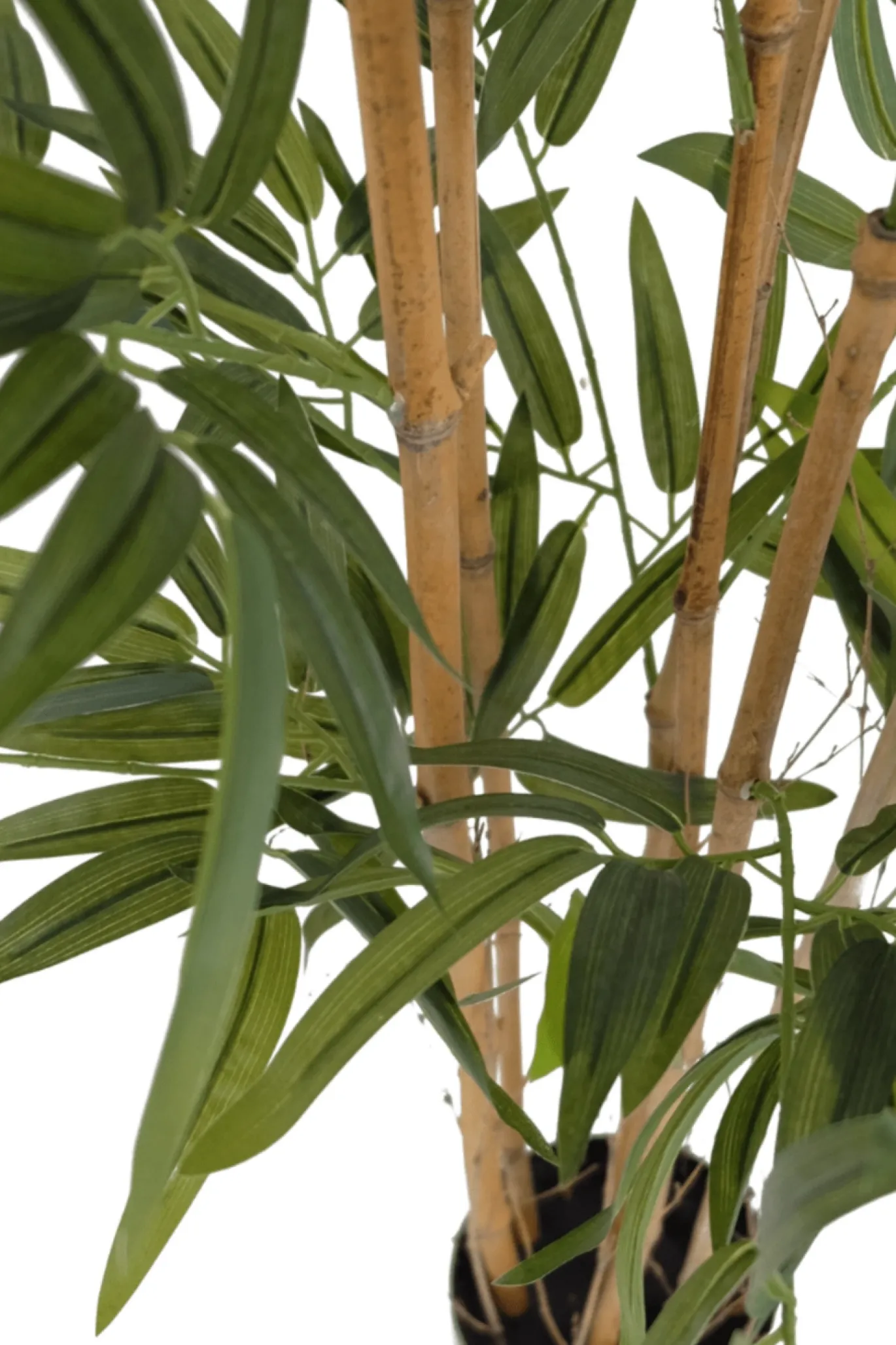 PrettyPlants Kunstplant Bamboe 180cm