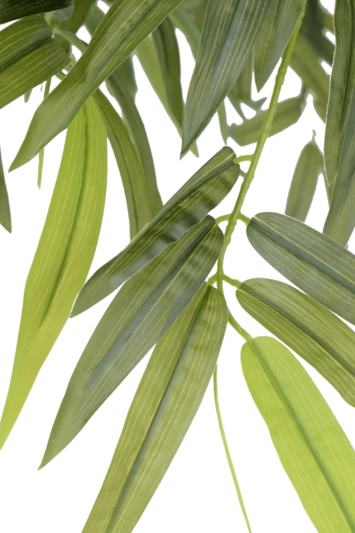 PrettyPlants Kunstplant Bamboe 180cm