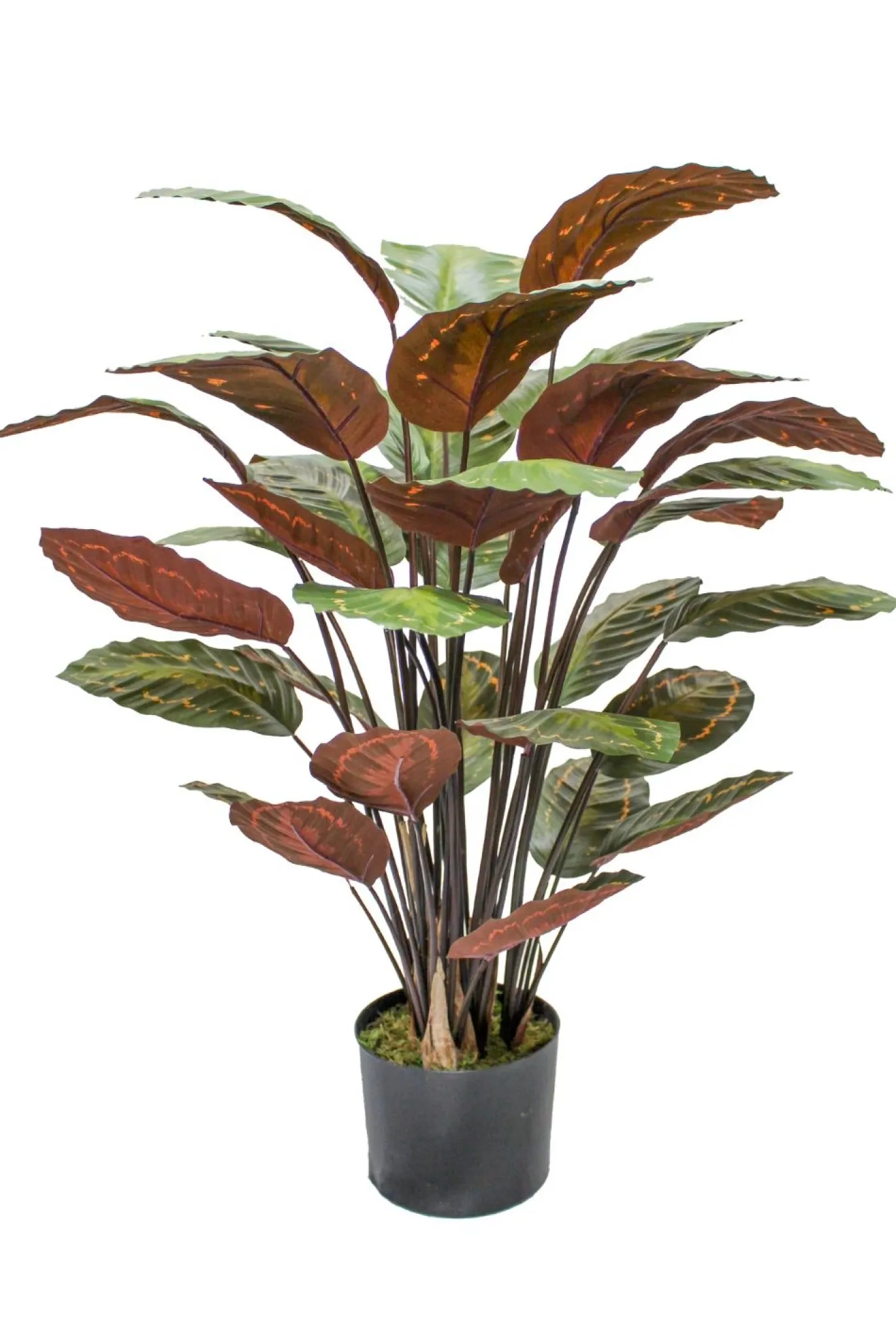 PrettyPlants Kunstplant Calathea 90cm