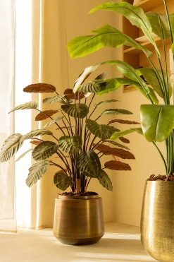 PrettyPlants Kunstplant Calathea 90cm