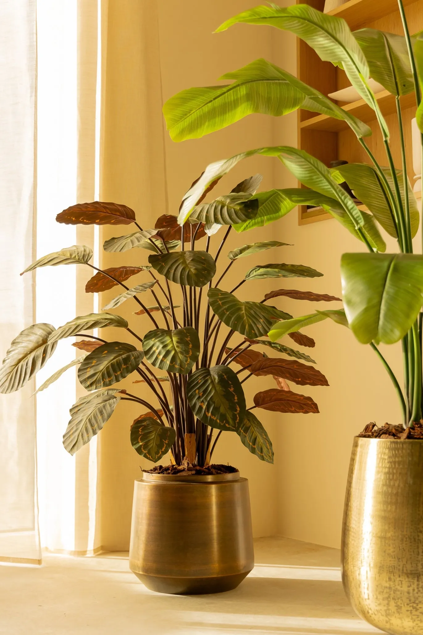 PrettyPlants Kunstplant Calathea 90cm