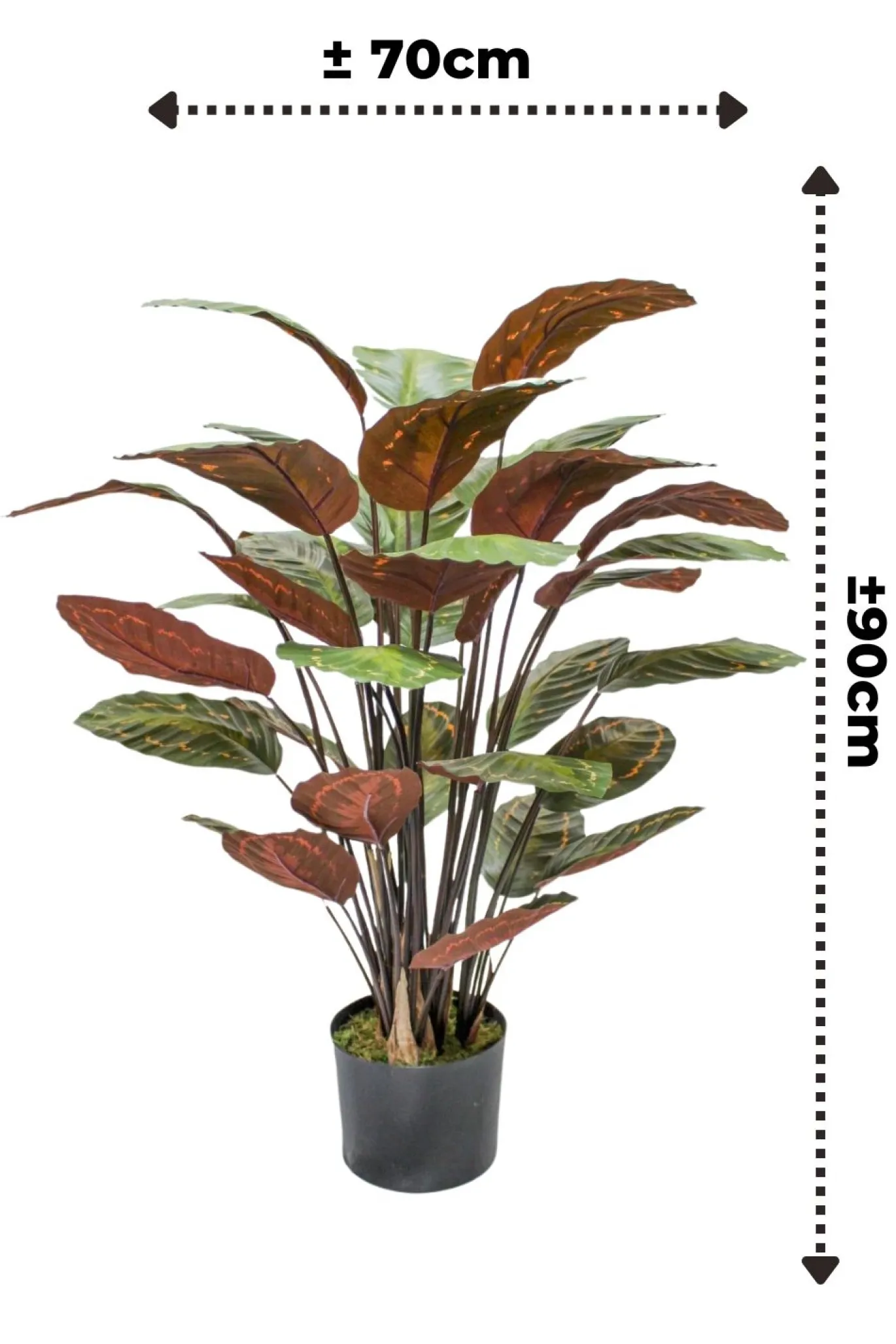 PrettyPlants Kunstplant Calathea 90cm