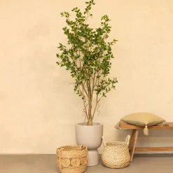 PrettyPlants Kunstplant Ficus 180cm