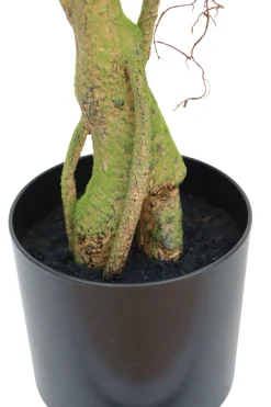 PrettyPlants Kunstplant Ficus 180cm