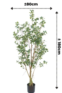 PrettyPlants Kunstplant Ficus 180cm