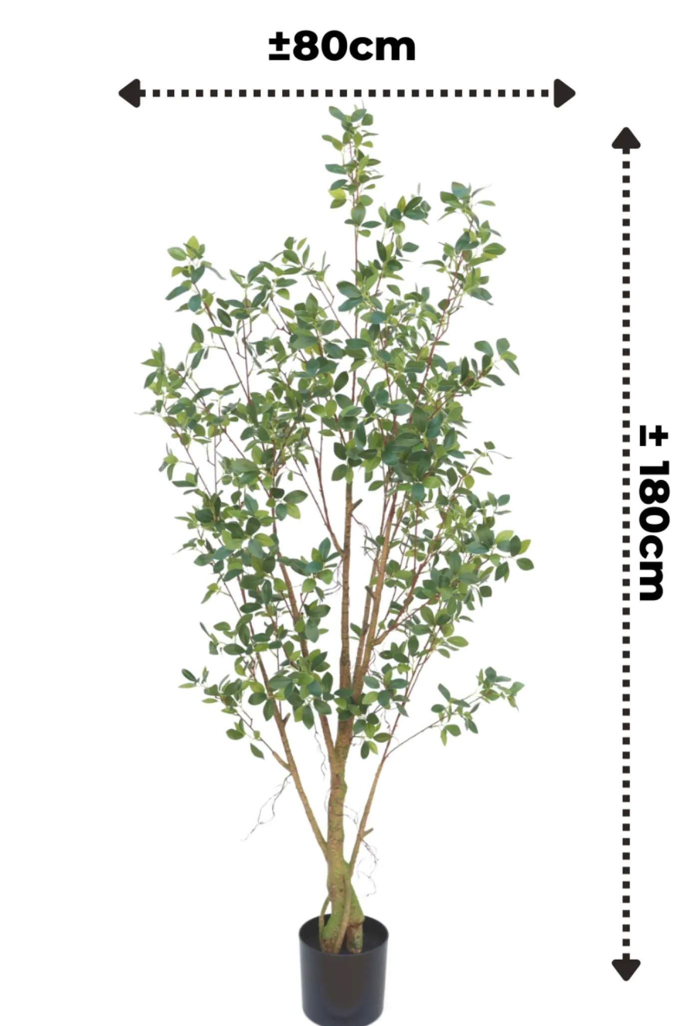 PrettyPlants Kunstplant Ficus 180cm