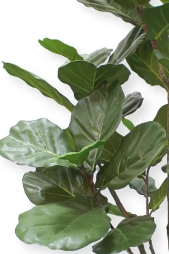 PrettyPlants Kunstplant Ficus Lyrata 180cm