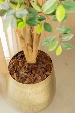 PrettyPlants Kunstplant Ficus Phineas 180cm