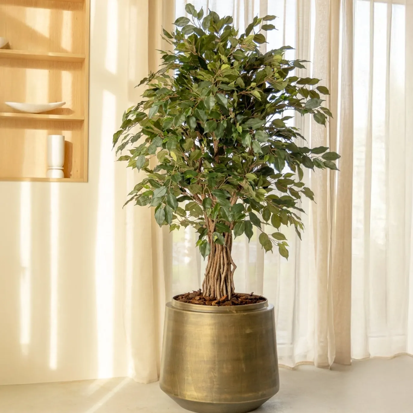PrettyPlants Kunstplant Ficus Liana 180cm