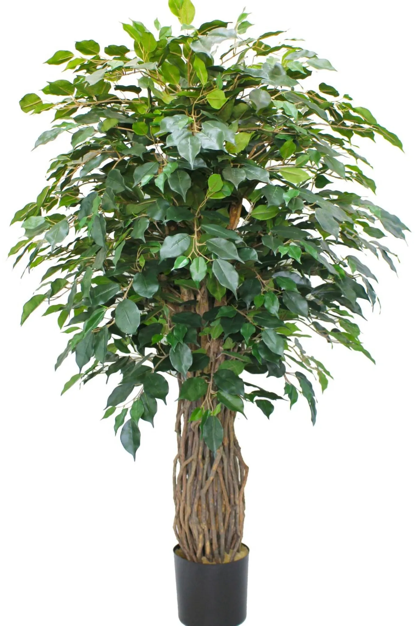 PrettyPlants Kunstplant Ficus Liana 180cm