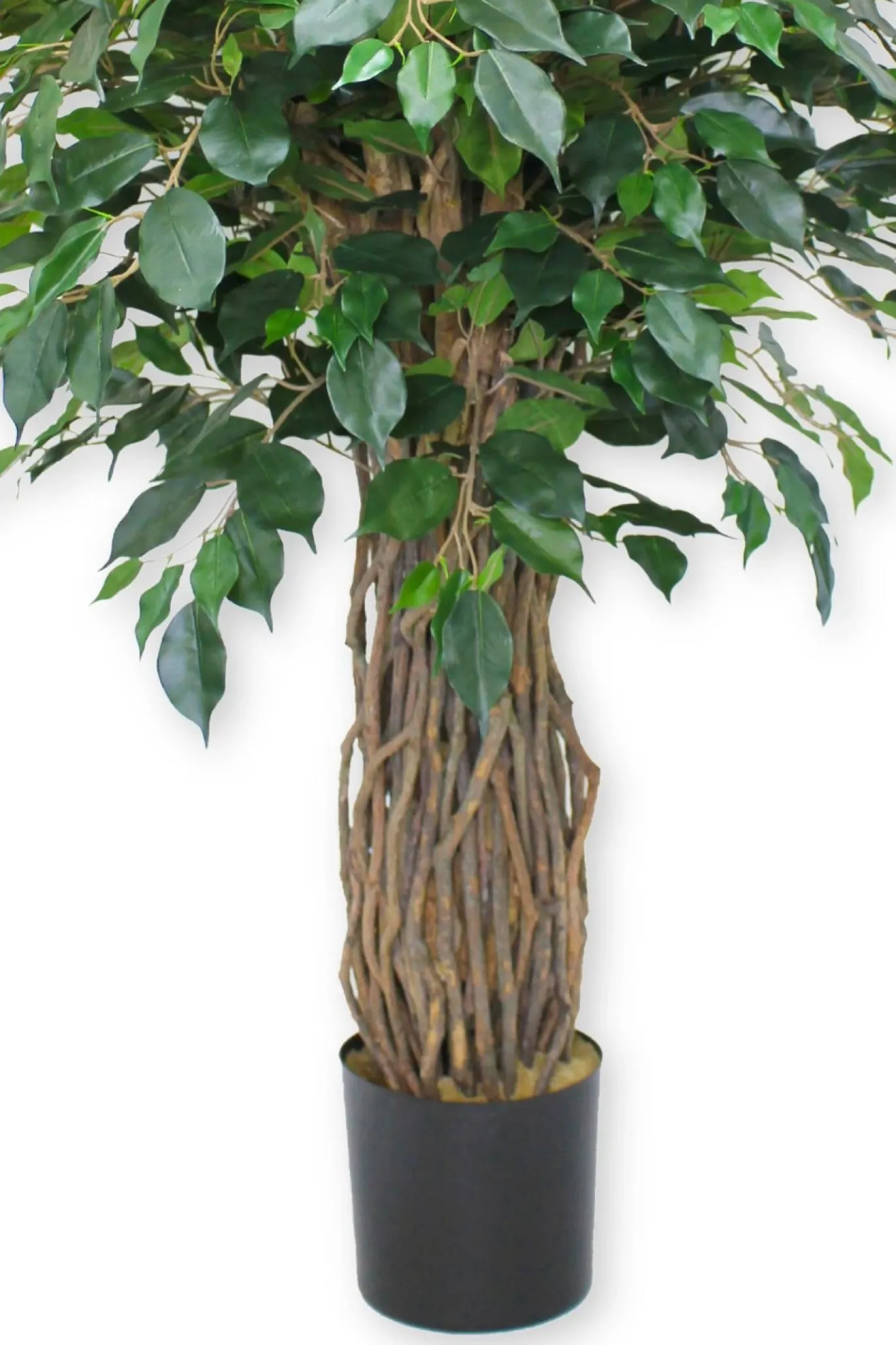 PrettyPlants Kunstplant Ficus Liana 180cm