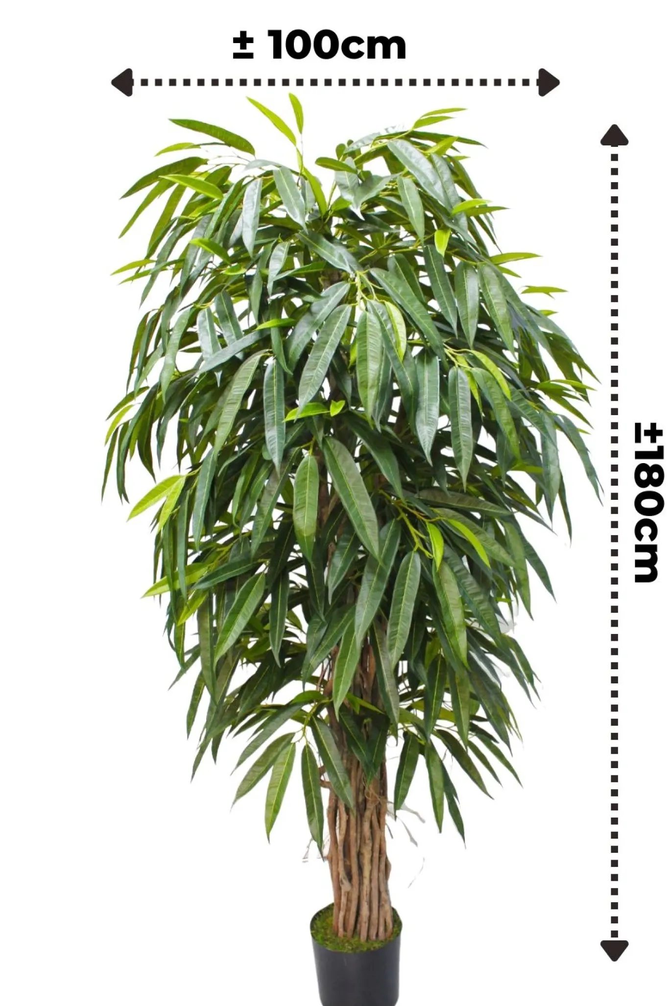 PrettyPlants Kunstplant Longifolia 180cm