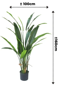 PrettyPlants Kunstplant Strelitzia Nico 160cm