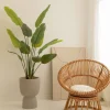 PrettyPlants Kunstplant Strelitzia Maikel 160cm